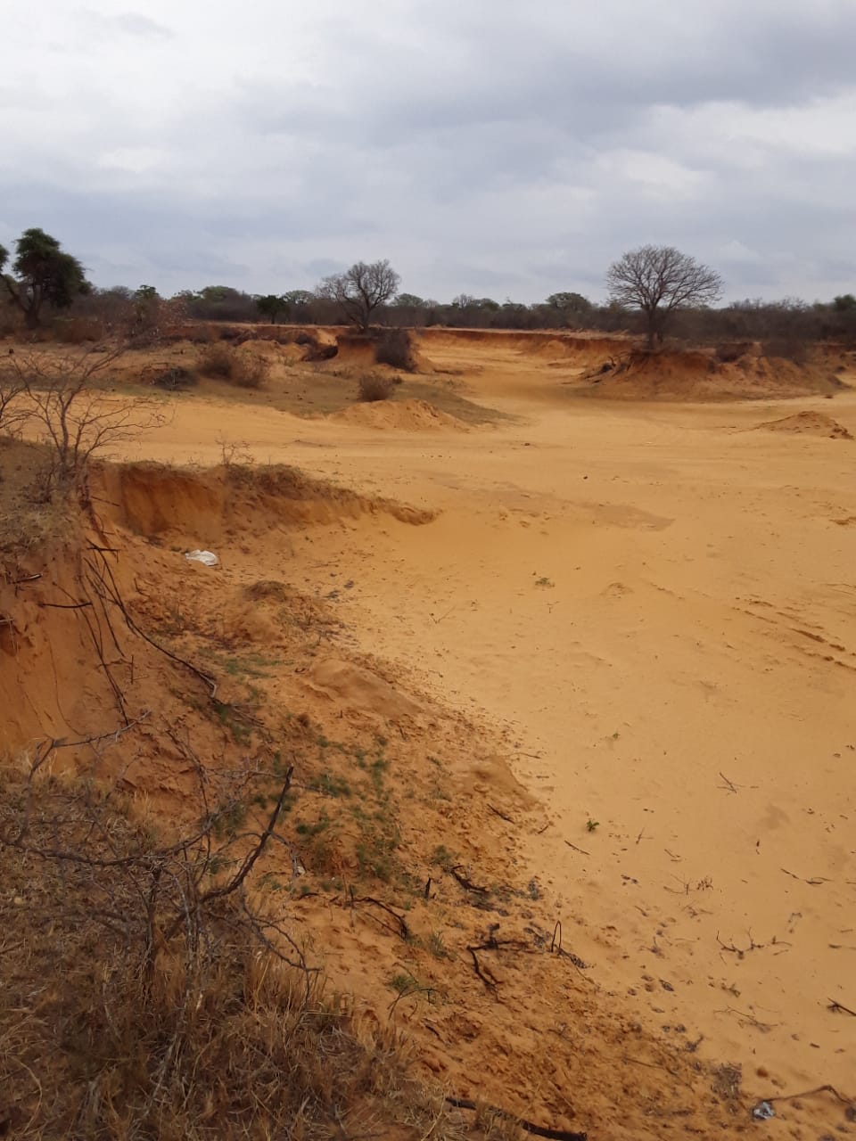 Open silica sand deposit with exposed quartz banks